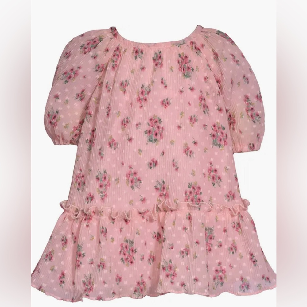 Bonnie Jean Trapeze Dress. Size 2T